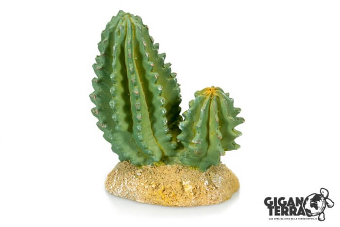 GIGANTERRA Cactus 9,5x5x10cm