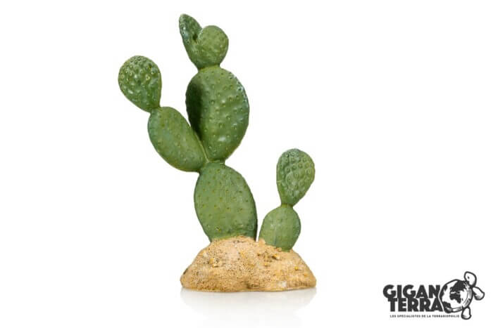 GIGANTERRA Cactus 10,5x7x16cm