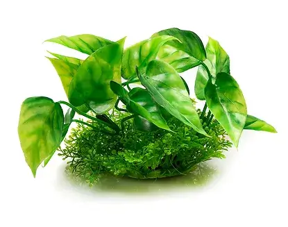 Φυτό ενυδρείου με βάση – 12cm