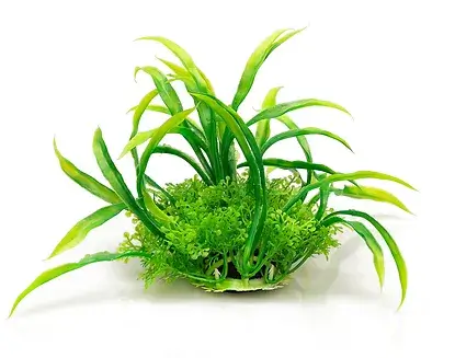 Φυτό ενυδρείου με βάση – 12cm