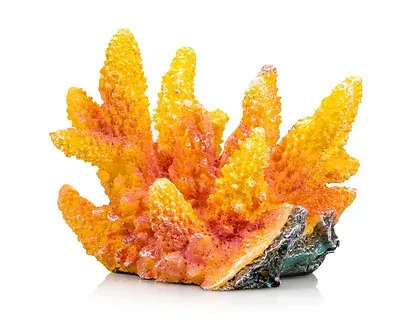 Κοράλι – 12x10x9cm