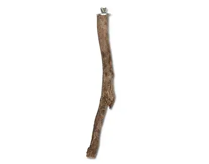 Κλαδί Hooper – 25cm