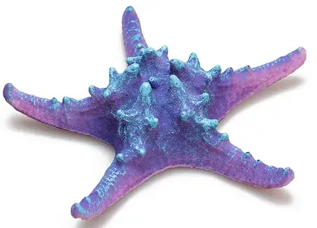 Αστερίας Μπλε – Ø 17cm